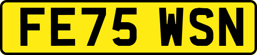 FE75WSN