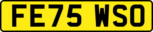 FE75WSO
