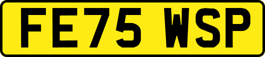 FE75WSP