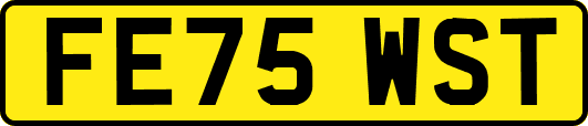 FE75WST