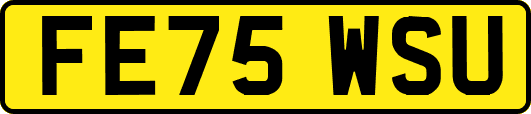 FE75WSU