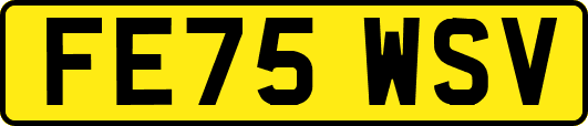 FE75WSV
