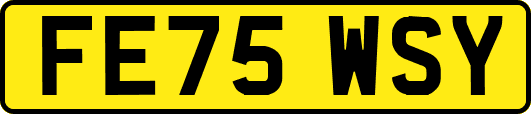 FE75WSY