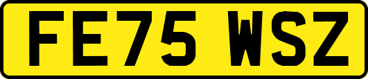 FE75WSZ