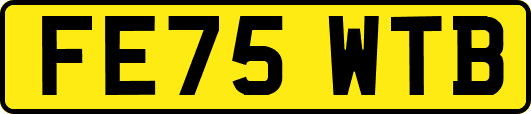 FE75WTB
