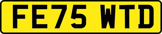 FE75WTD