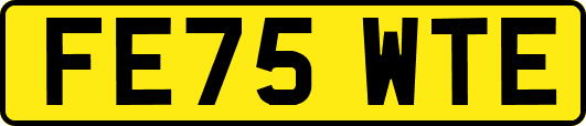 FE75WTE