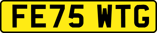 FE75WTG