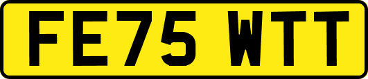 FE75WTT