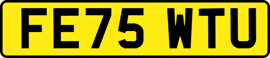 FE75WTU