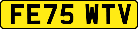 FE75WTV