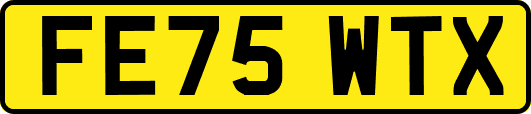FE75WTX