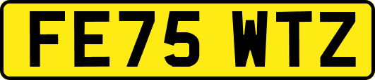 FE75WTZ