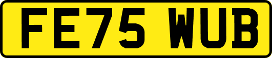 FE75WUB