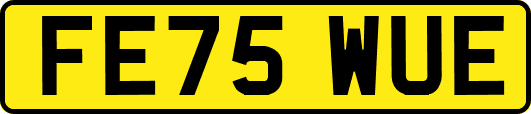 FE75WUE