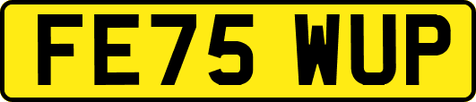 FE75WUP