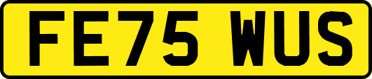 FE75WUS