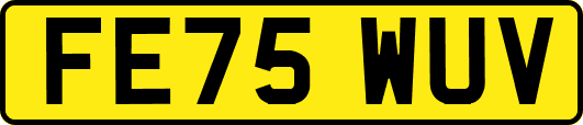 FE75WUV