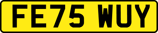 FE75WUY