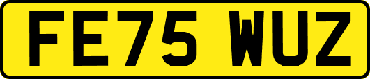 FE75WUZ