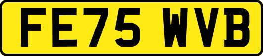 FE75WVB