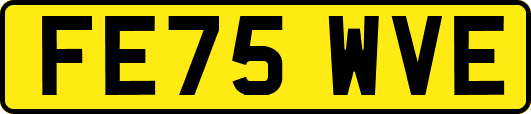 FE75WVE