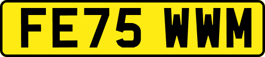 FE75WWM