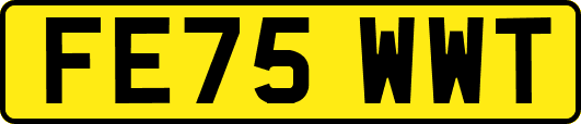 FE75WWT