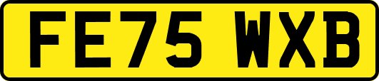 FE75WXB