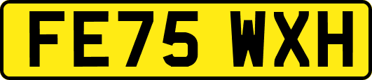 FE75WXH