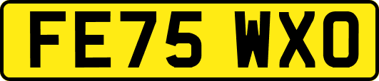 FE75WXO