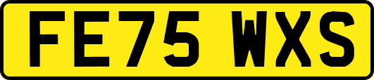 FE75WXS