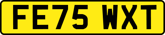 FE75WXT