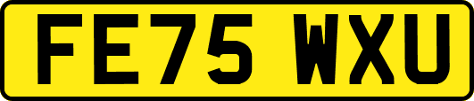 FE75WXU