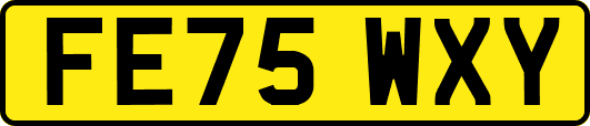 FE75WXY