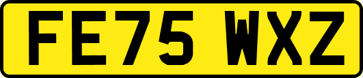 FE75WXZ