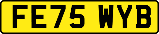 FE75WYB
