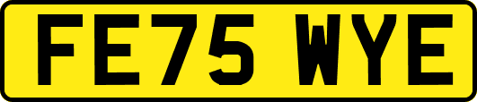 FE75WYE
