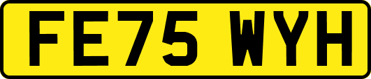 FE75WYH
