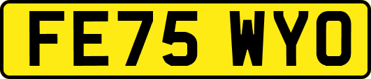 FE75WYO
