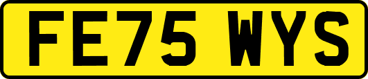 FE75WYS