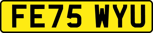 FE75WYU