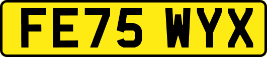 FE75WYX