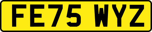 FE75WYZ