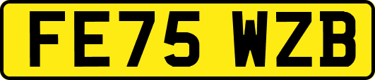 FE75WZB
