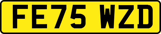 FE75WZD