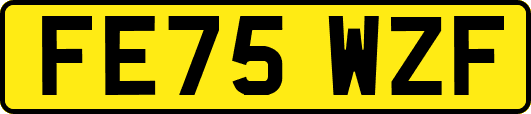 FE75WZF