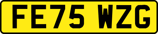 FE75WZG