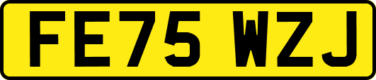 FE75WZJ