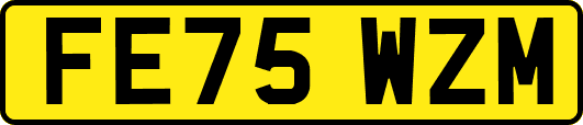 FE75WZM